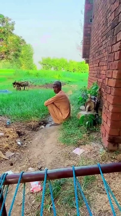 Hilarious Shorts - Viral Comedy Clip 😂