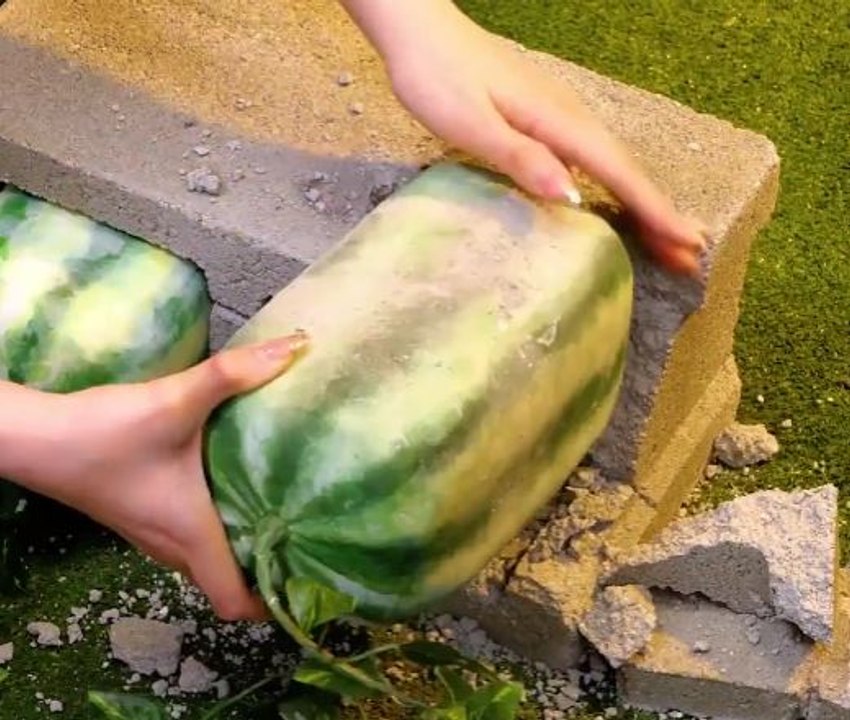 Gardening with a Twist! Innovative & Beautiful Ideas!