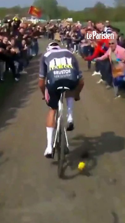 Van der Poel : « C'est un homicide involontaire »