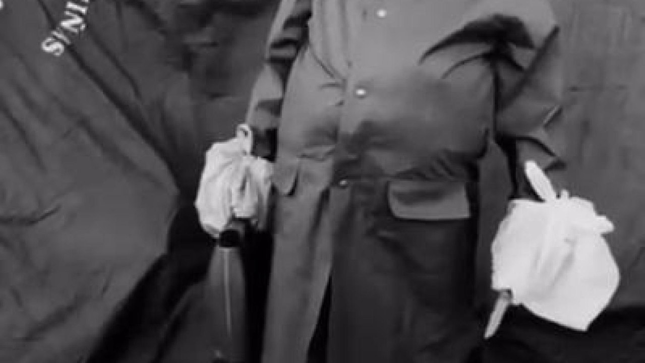 Vídeo del ladrón del pañuelo del toro de Osborne en Tomelloso