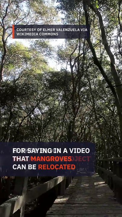 Philippine Reclamation Authority under fire over mangrove relocation remark