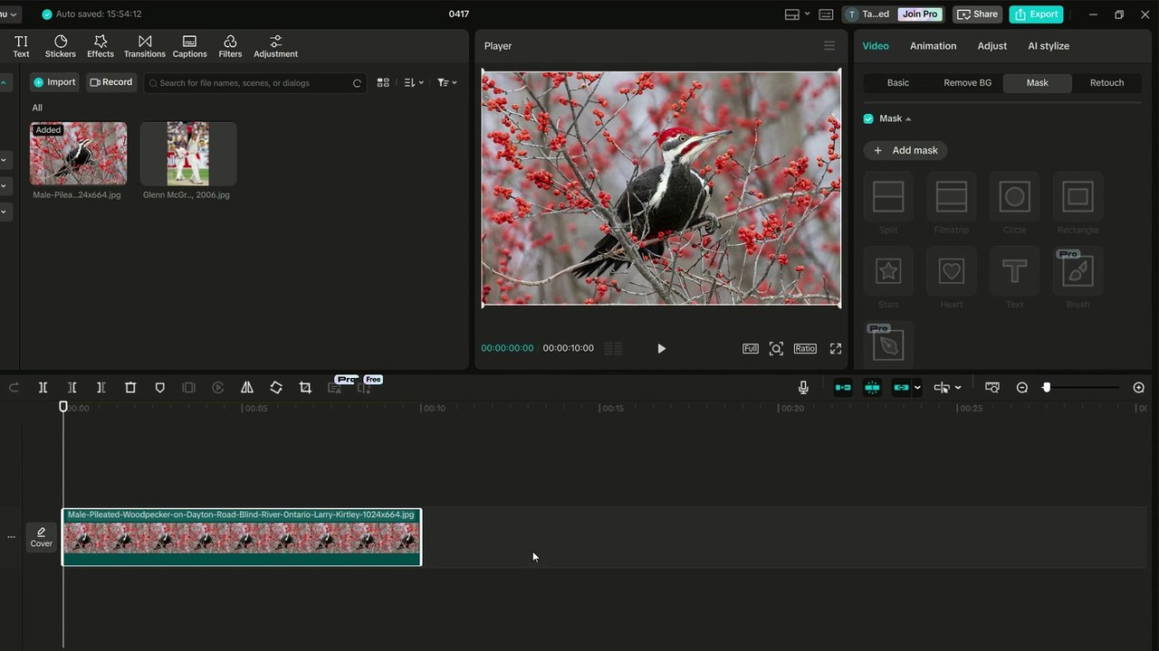 how to crop photo in circle shape in capcut