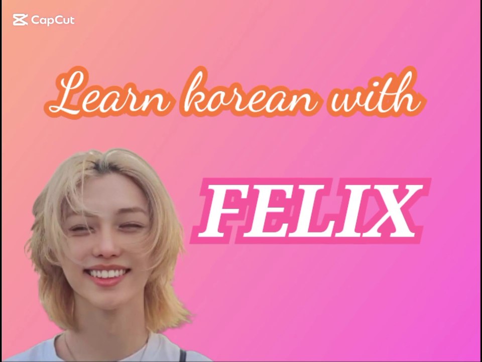 Learn Korean With Felix's Vlog [Straykids]