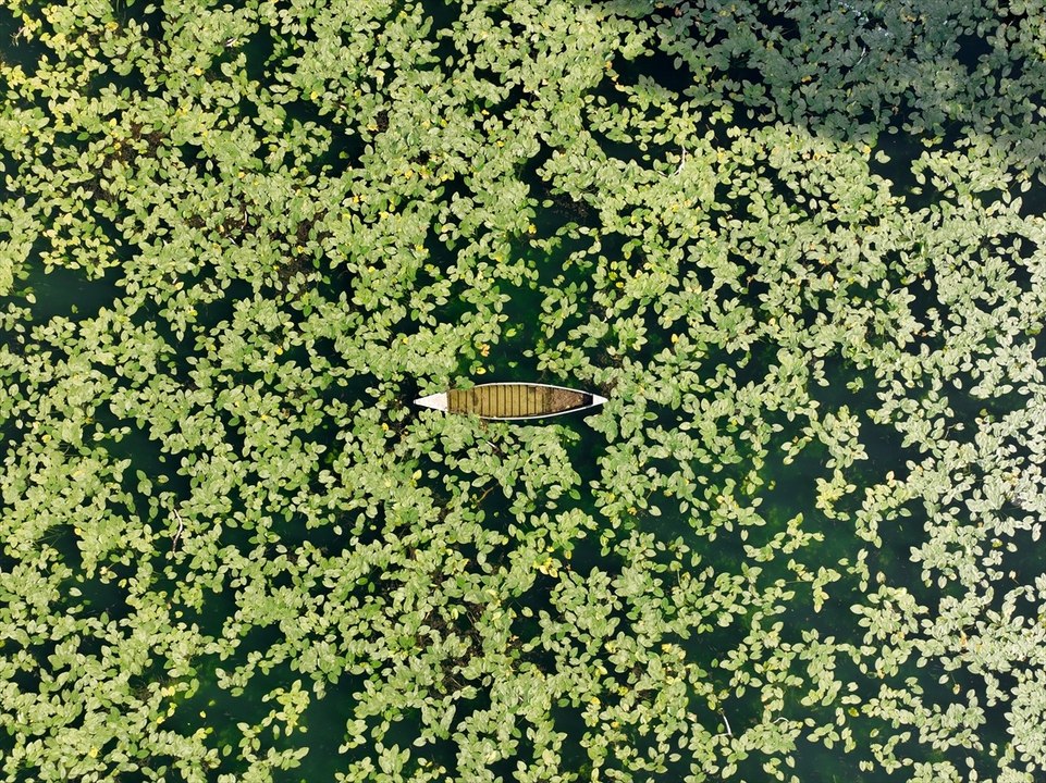 Gölbaşı Gölü baharın gelişiyle renklendi!