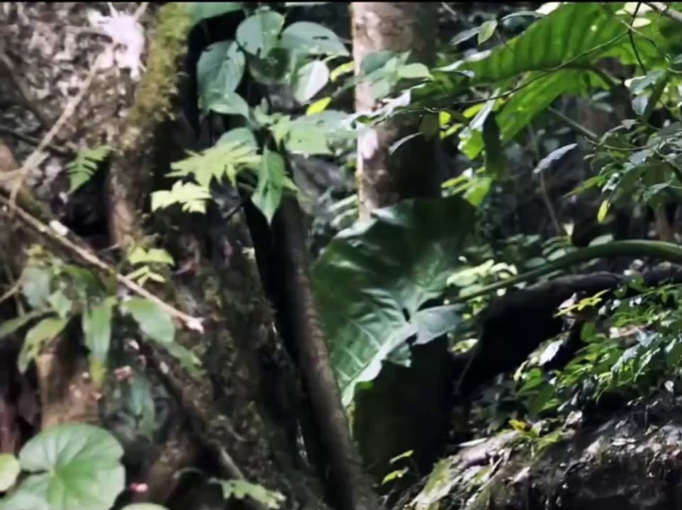 Best English Action Movies HD 2025 | Top Picks for Exciting Films 🎬