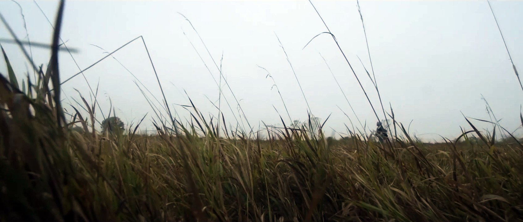 Homefield Atmosphere | movie | 2025 | Official Trailer