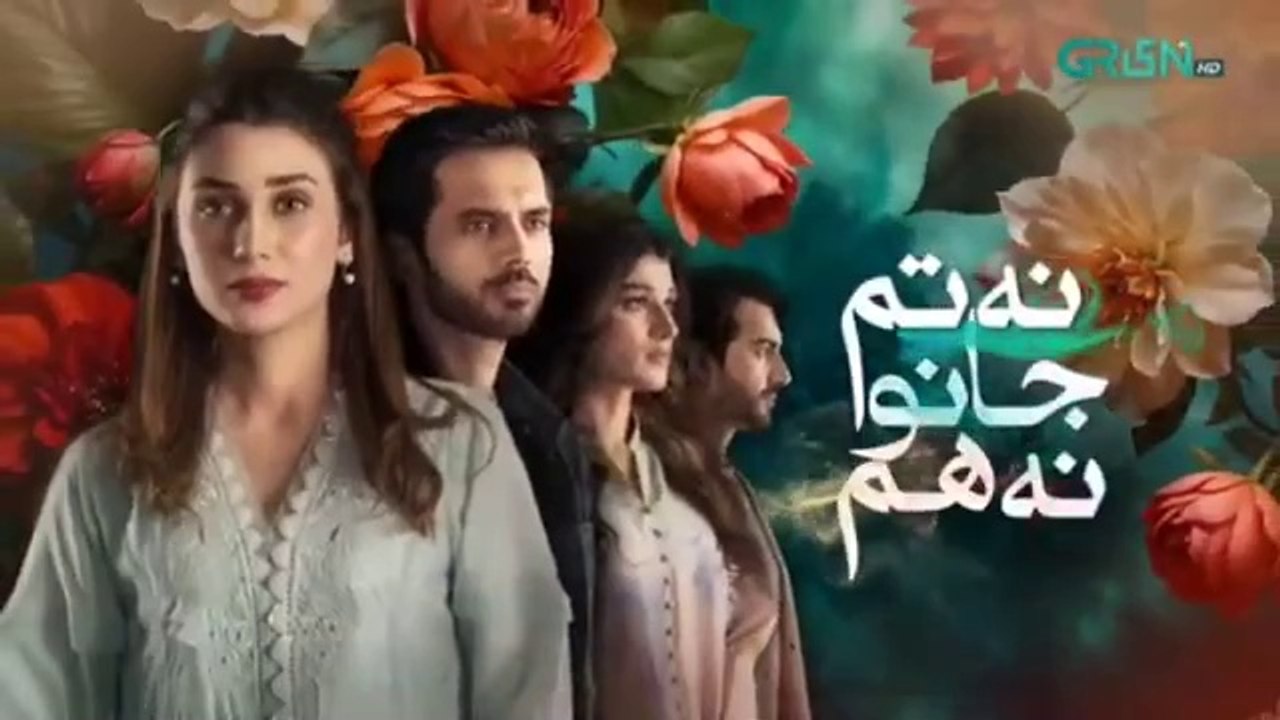 Na Tum Jano Na Hum Episode 19