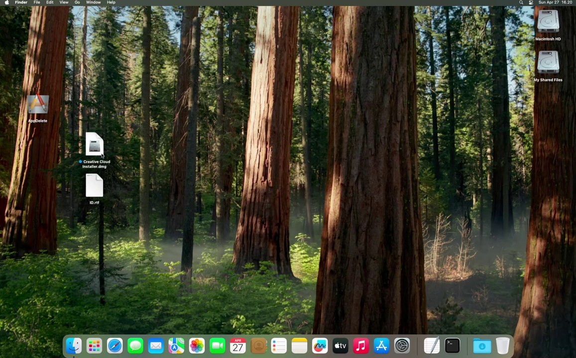 How to Login to Adobe