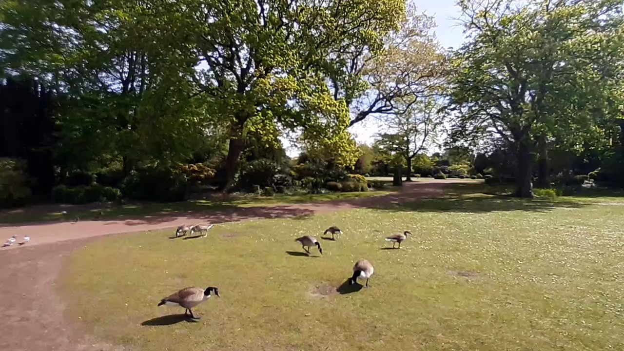 Sun is out in West Park.