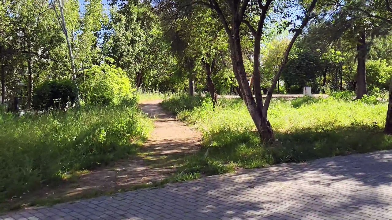 Vivo V50 Estabilización Estándar