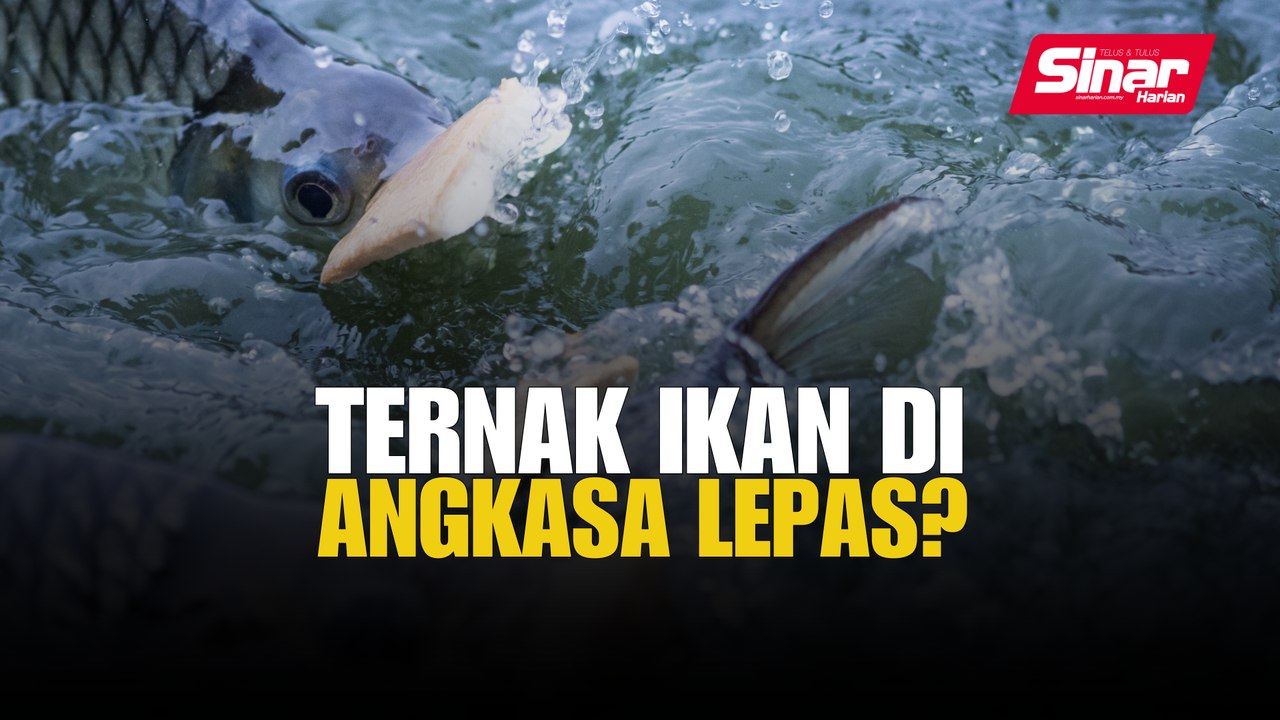 Ternak ikan di angkasa lepas?