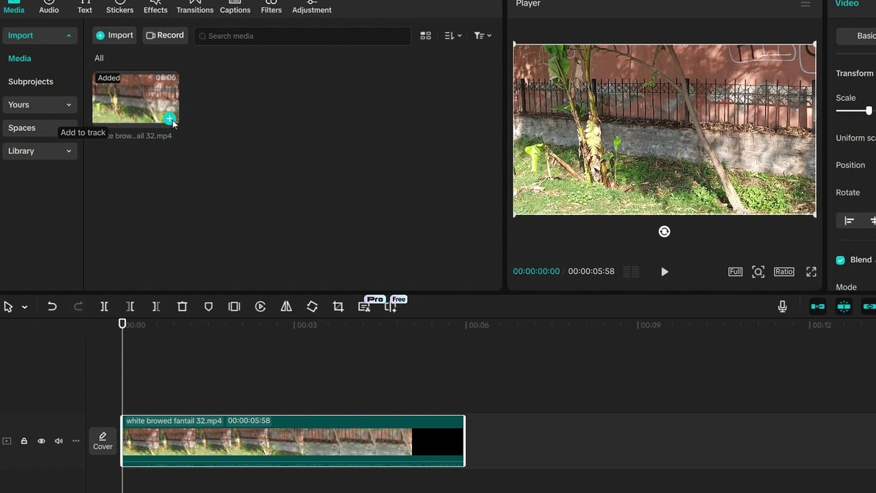 How to Export a Specific Part of a Video in CapCut PC