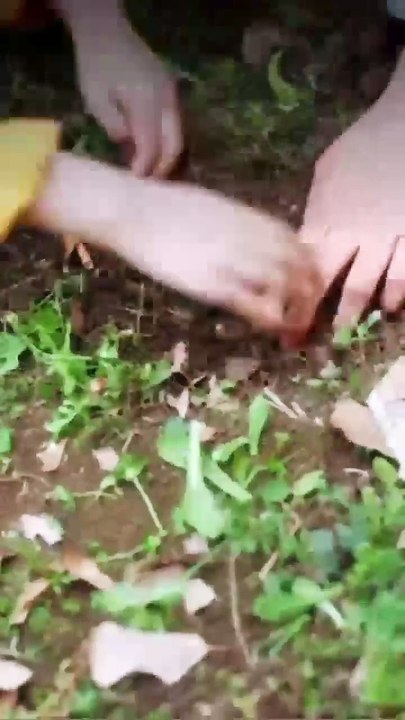 Anak pembawa keberuntungan | SUB INDO - P01