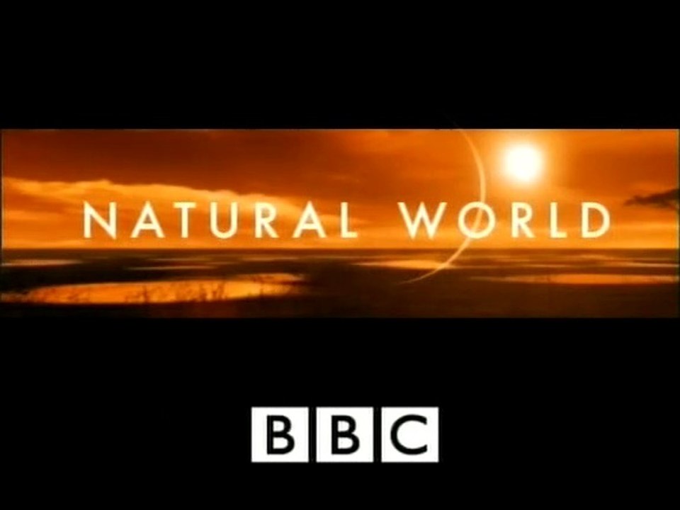Sir David Attenborough - BBC Natural World: Five Big Cats and a Camera