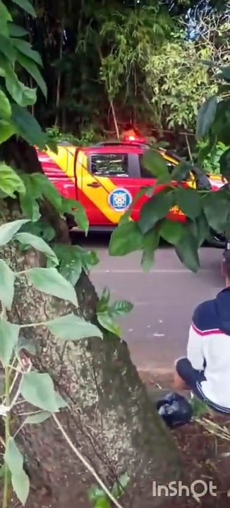 Corpo em decomposição é encontrado nos fundos do lago Aratimbó, em Umuarama - 1