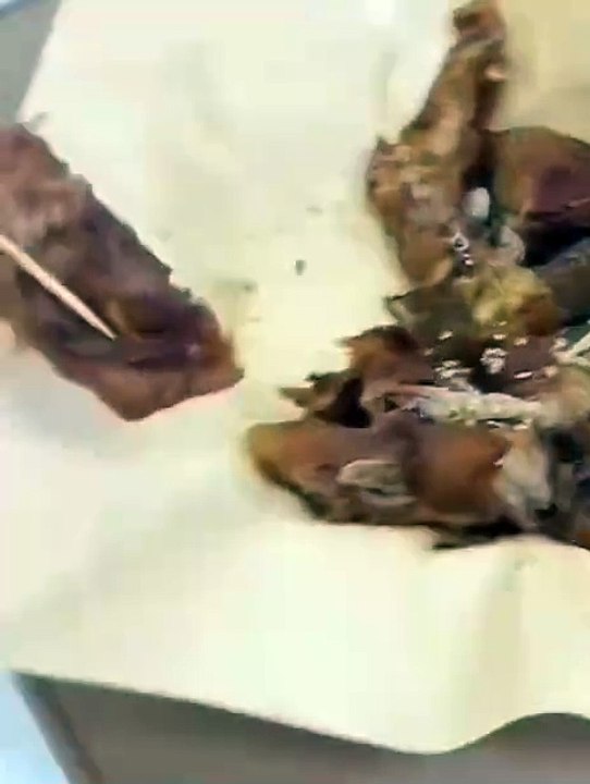 Misunderstanding>>>>>