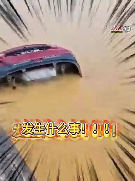 车停渡轮妇女误打D档 连人带车坠入河