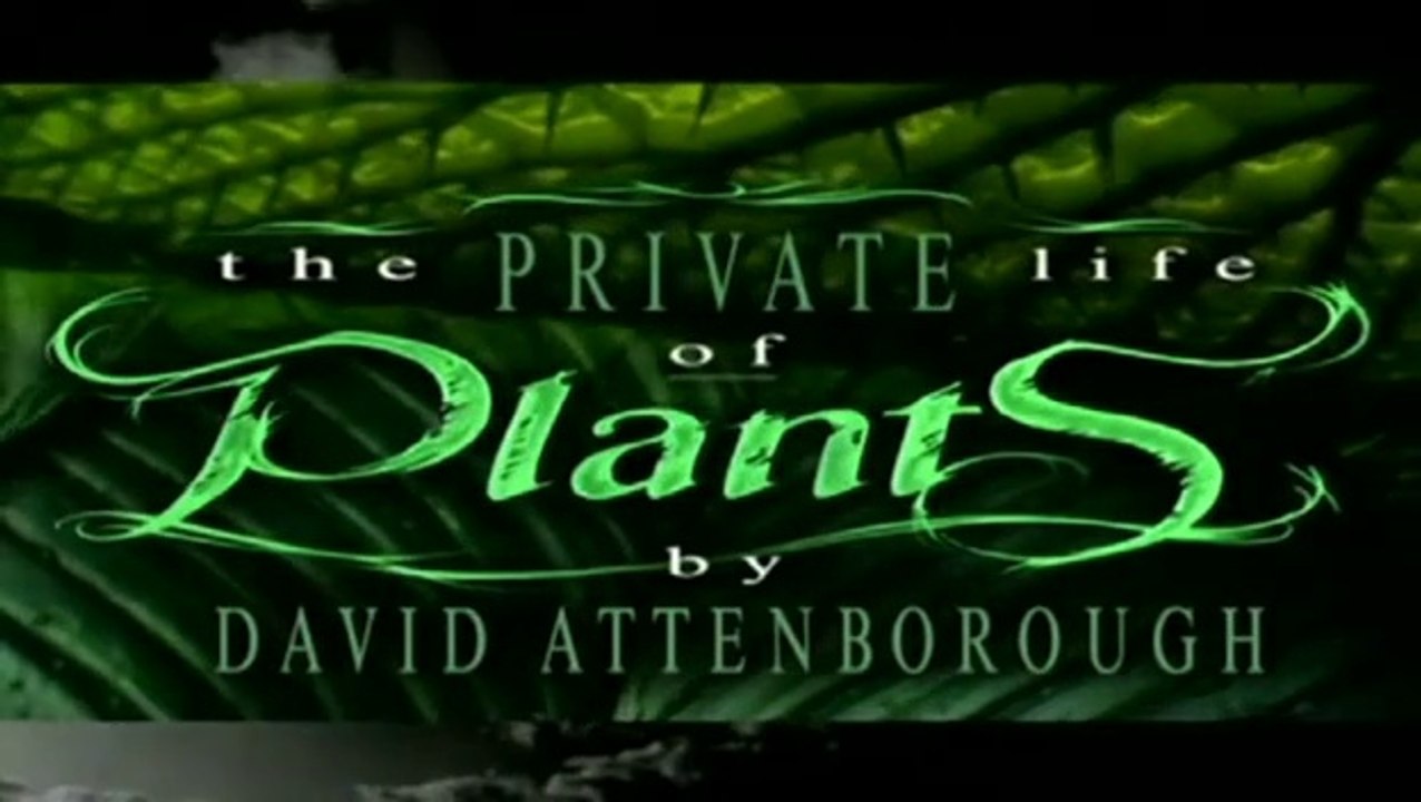 Sir David Attenborough - The Private Life Of Plants - Growing