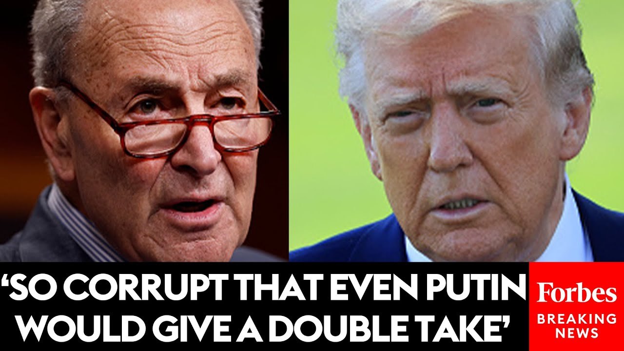 Chuck Schumer Announces Hold On DOJ Nominees Amid Trump's Qatari Plane Controversy