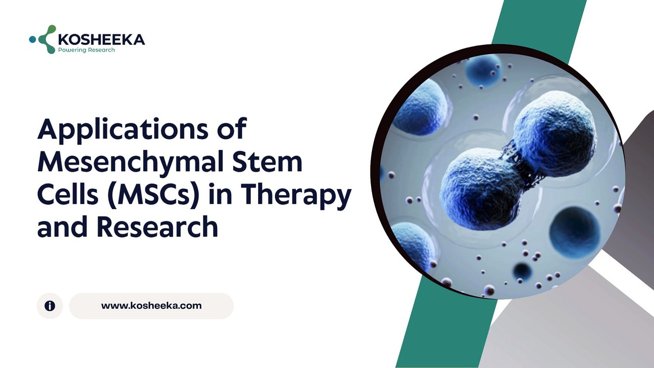 Exploring the Diverse Applications of Animal Cell Culture