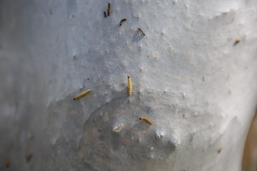 'Stranger Things' in Nottinghamshire