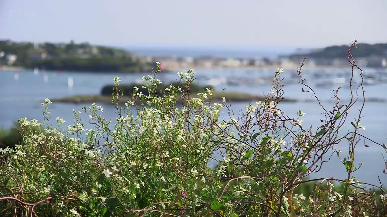 Shipwrecks episode 2: Britain's Sunken History