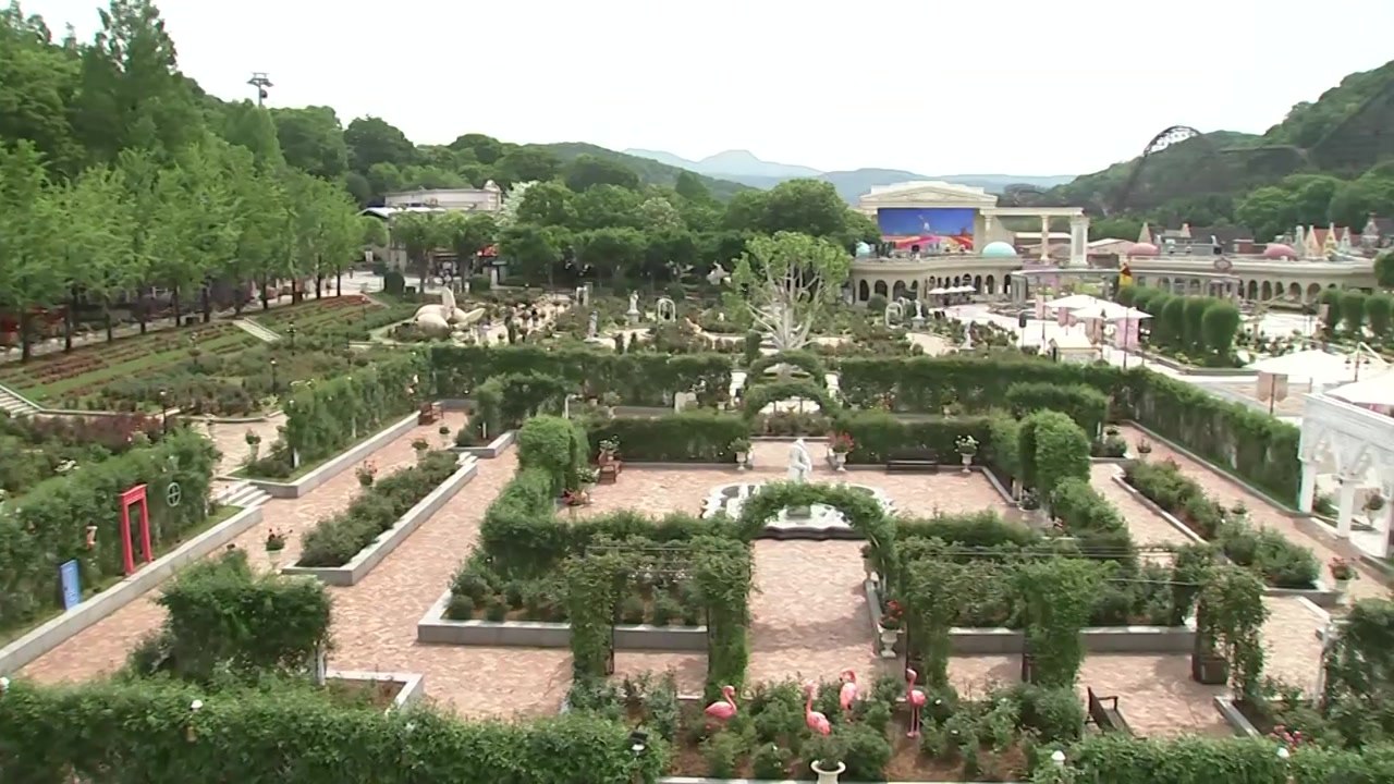 놀이공원 속 장미축제...40년간 6천만 명 다녀가 / YTN