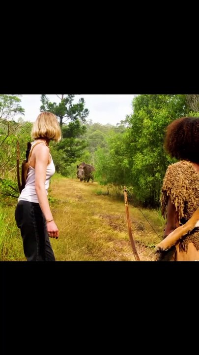 Hollywood Movie Explained