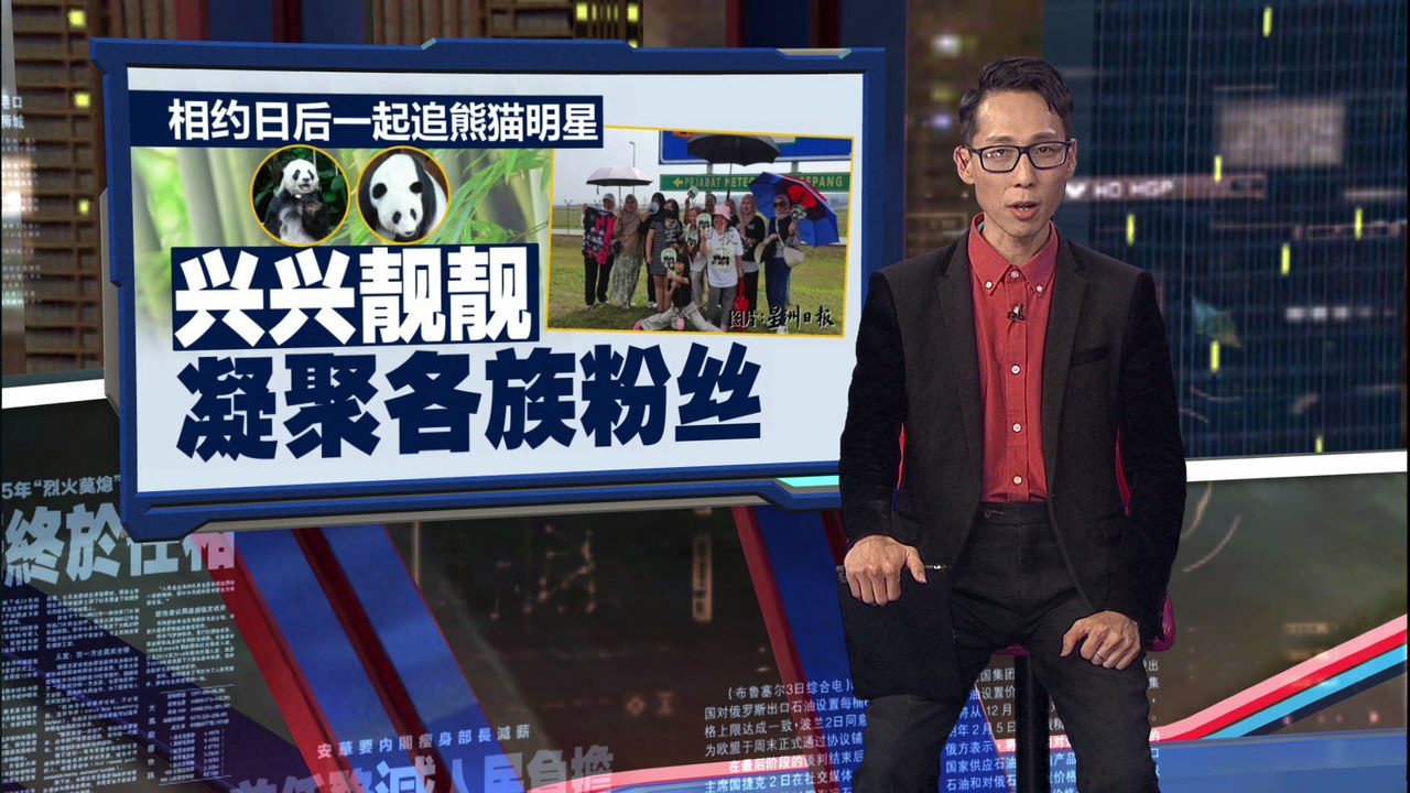 兴兴靓靓今午返回中国   大马熊猫粉丝不舍送别