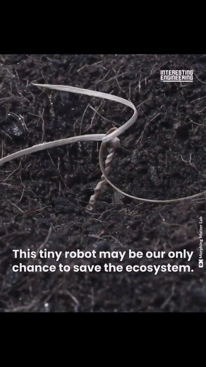 Inspirado en una flor salvaje, este robot planta semillas para salvar el mundo