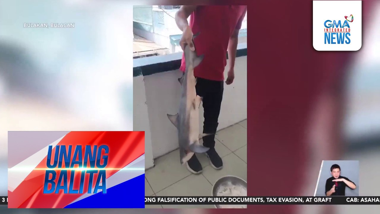 Pating, nahuli sa ilog sa Brgy. Taliptip | Unang Balita