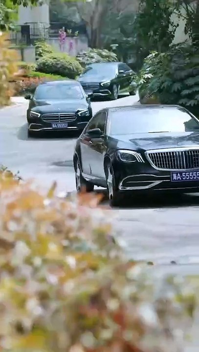 Ten Years of Sacrifice: Framed for the Adopted Son - Full HD Movie