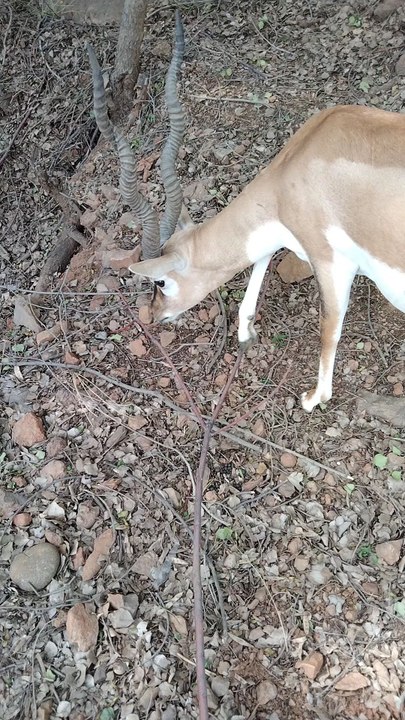 Crypto: A Beginner's Guide