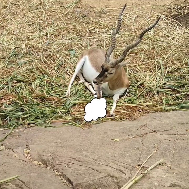 Troubleshooting Your Wi-Fi: Quick Tips to Fix Connection Issues 📶