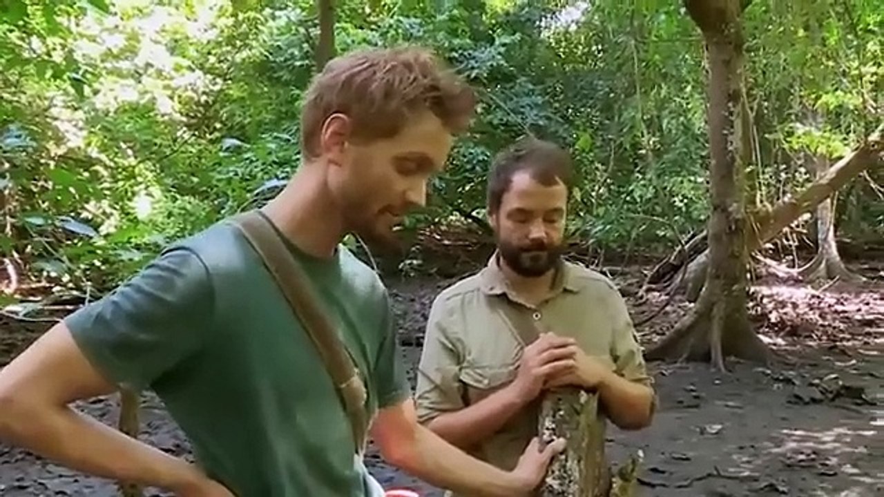 These Men Are Living Happily On The Deserted Island, Hunting All Kinds Of Large Game To Eat._360p