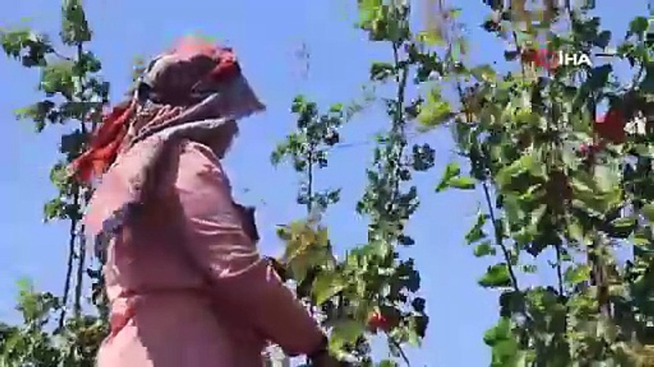 Bahçede 30 TL, markette 70 TL