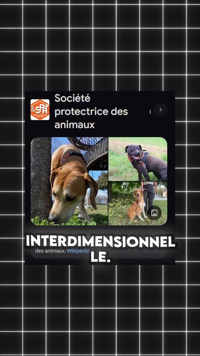 [Vidéo Exclusive] La Force de CoinCoin #science #maths #physique