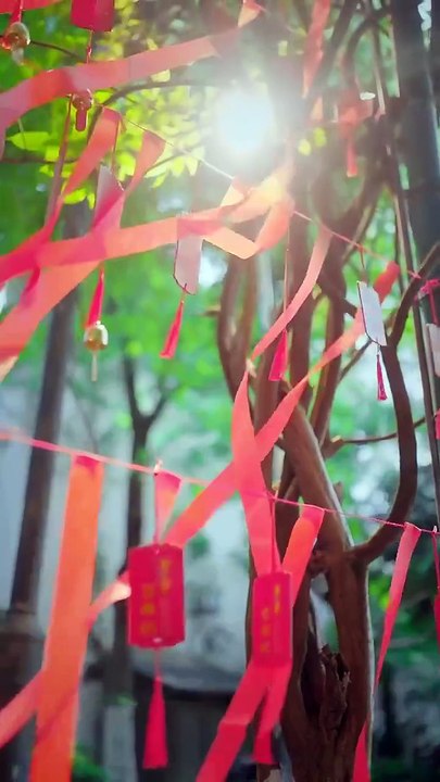 【短剧合集】 我家爱神全糖满甜