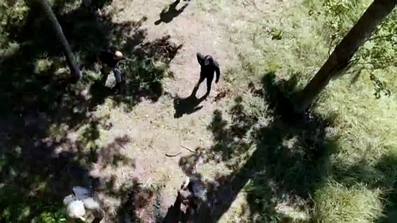 Off the Grid | movie | 2025 | Official Trailer