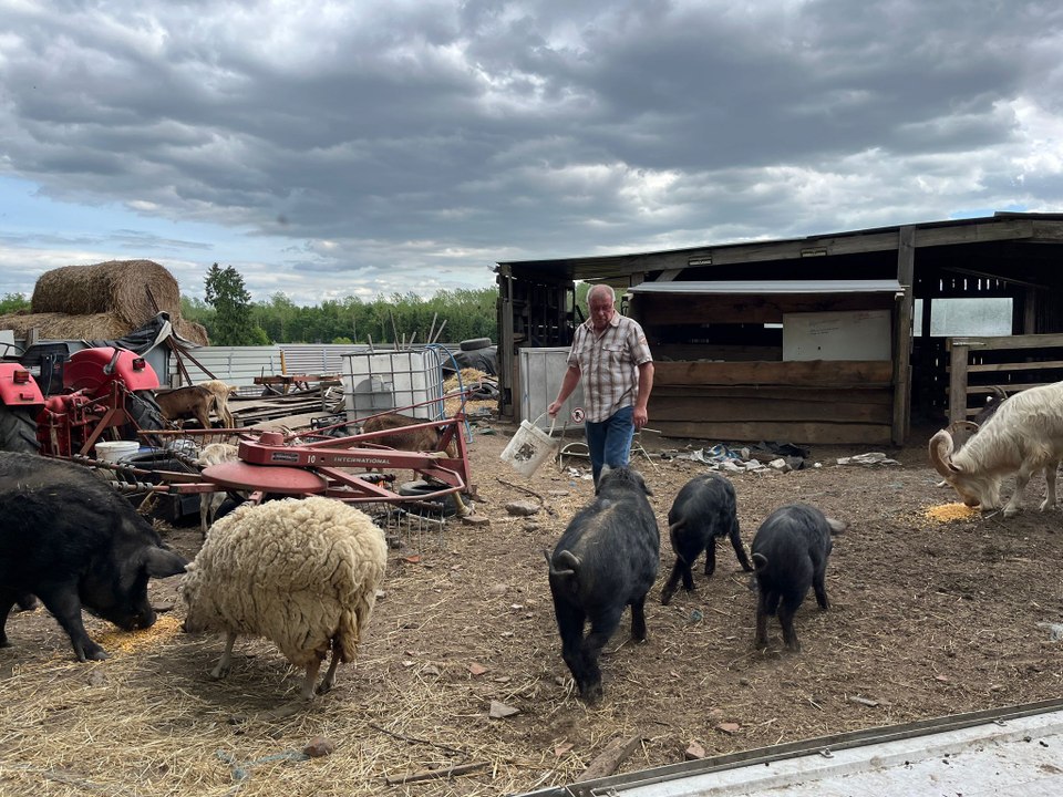 Des animaux orphelins