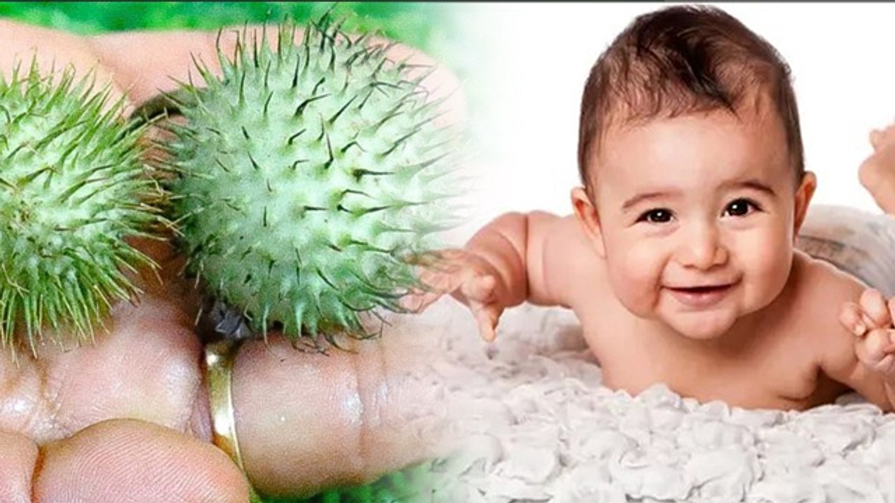 Lucky Baby Born Tips: शुभ संतान के जन्म के लिए अपने कमरे में लगाए ऐसी फोटो, होगा भाग्यशाली