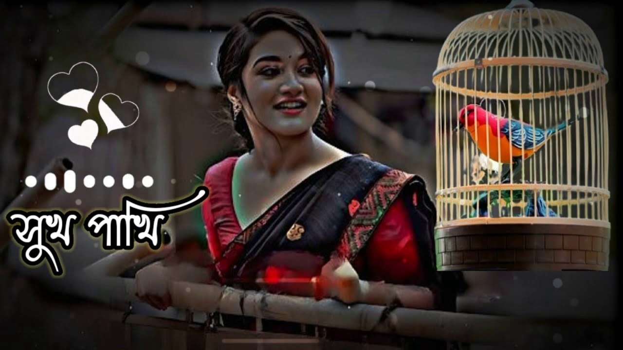 সুখ পাখি তোর প্রেমে মন মজাইয়া আমি 💕 | New Bangla Love Status 2025 | Romantic Sad Song