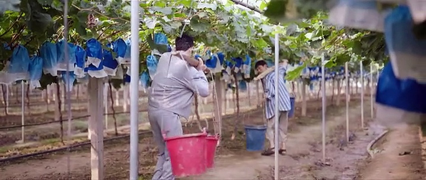 A Romance of the Little Forest.S01E25 in urdu hindi dubbed.