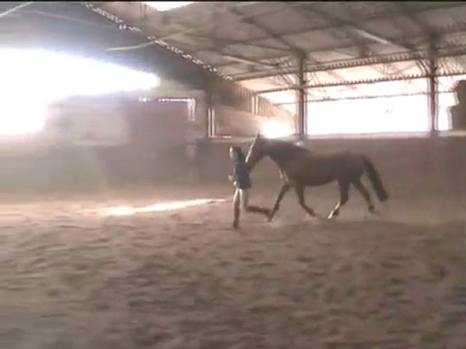 Last Day, Last Smile