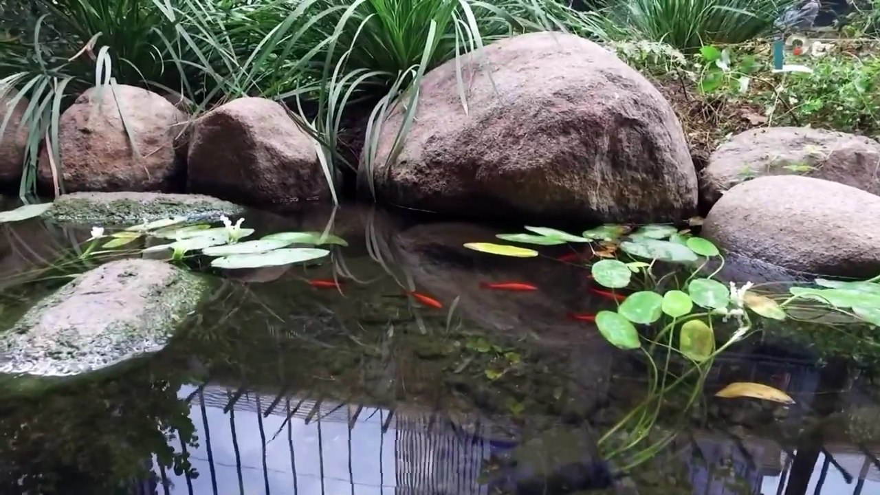 City Tour - Capítulo 14, Temporada 2025 (05/06/2025)