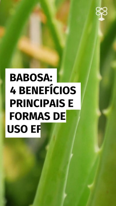 Babosa: 4 benefícios principais e formas de uso eficazes