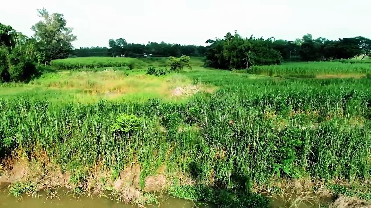 Pap Kahini - Bangla Web Series - Season 1 - Watch Online - পাপ কাহিনী