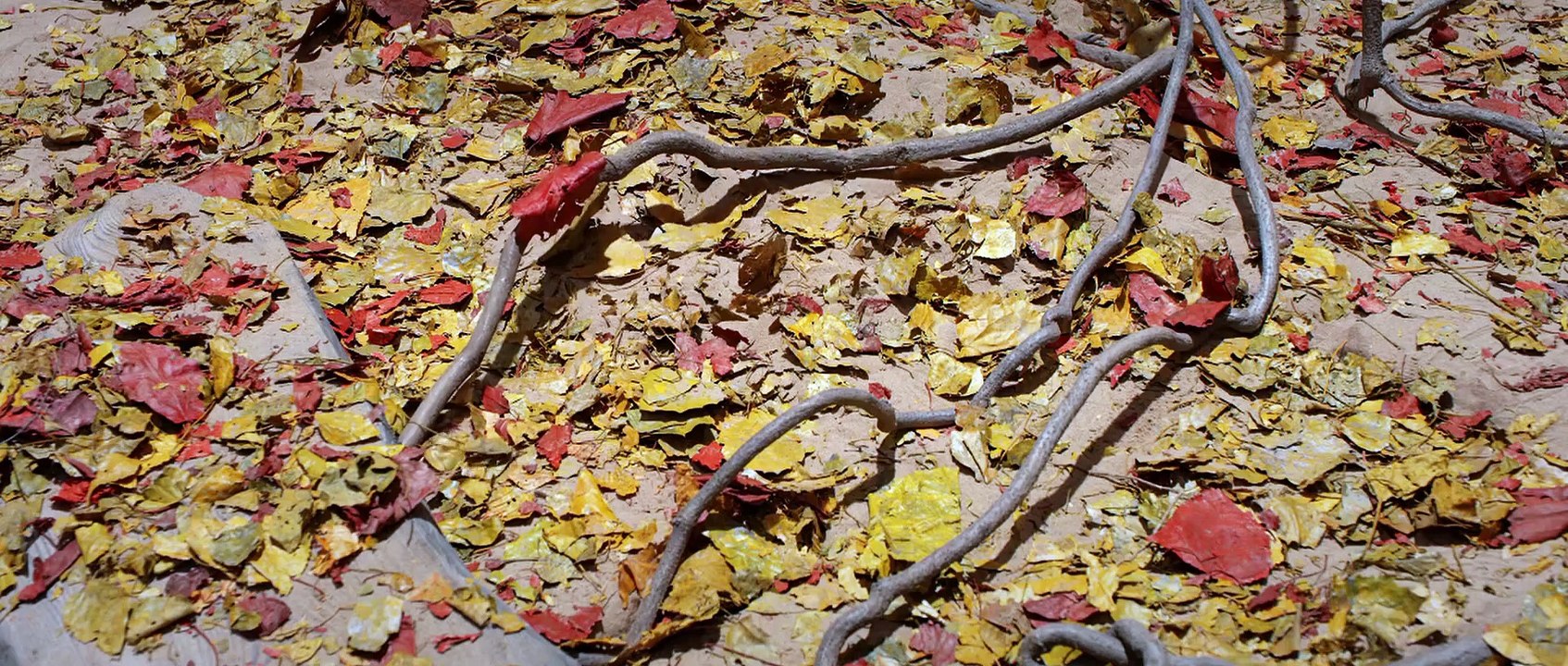 Long Line MI KU Hindi Adventure 🎬