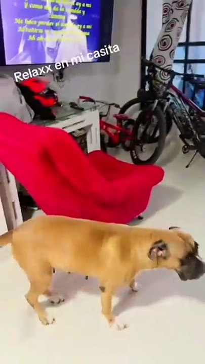 Adriana Ríos, los invito a ver mi casa.