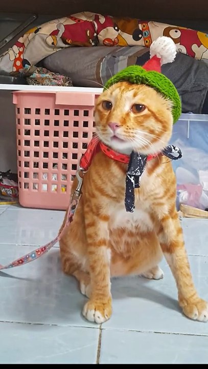 ปราสาทตาหลุด สงครามไทย,เขมร